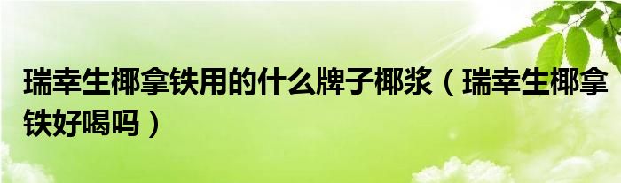 瑞幸生椰拿铁用的什么牌子椰浆（瑞幸生椰拿铁好喝吗）