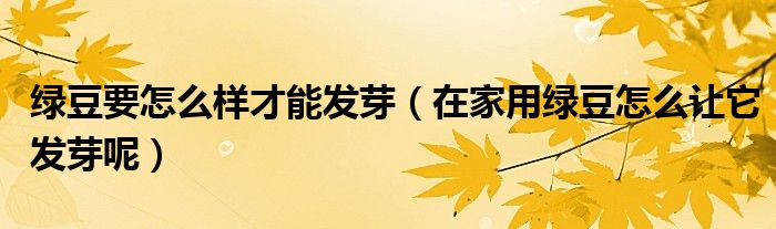 绿豆要怎么样才能发芽（在家用绿豆怎么让它发芽呢）