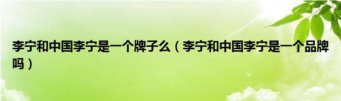 李宁和中国李宁是一个牌子么（李宁和中国李宁是一个品牌吗）