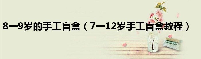 8一9岁的手工盲盒（7一12岁手工盲盒教程）