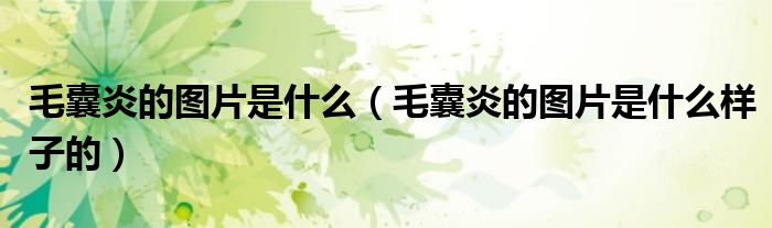 毛囊炎的图片是什么（毛囊炎的图片是什么样子的）