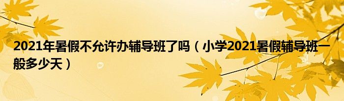 2021年暑假不允许办辅导班了吗（小学2021暑假辅导班一般多少天）