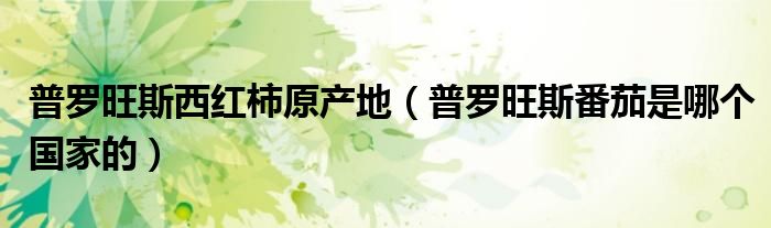 普罗旺斯西红柿原产地（普罗旺斯番茄是哪个国家的）