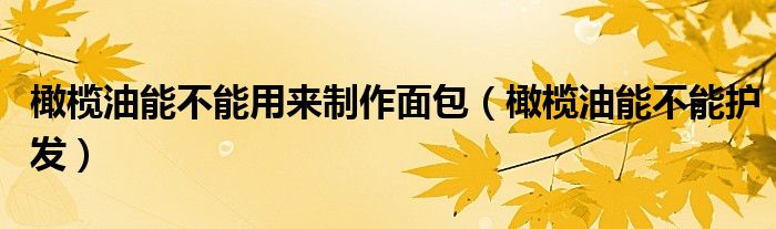 橄榄油能不能用来制作面包（橄榄油能不能护发）