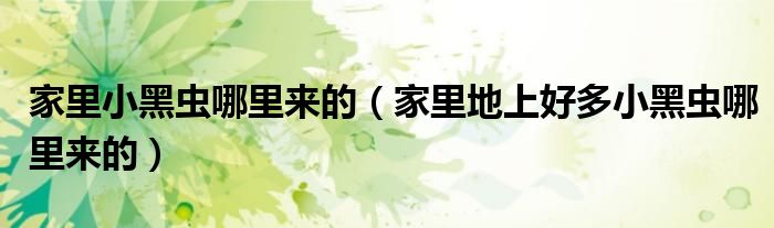 家里小黑虫哪里来的（家里地上好多小黑虫哪里来的）