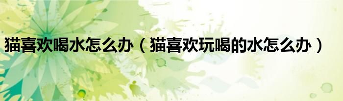 猫喜欢喝水怎么办（猫喜欢玩喝的水怎么办）