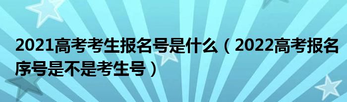 2021高考考生报名号是什么（2022高考报名序号是不是考生号）