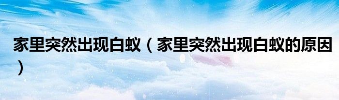 家里突然出现白蚁（家里突然出现白蚁的原因）