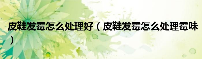 皮鞋发霉怎么处理好（皮鞋发霉怎么处理霉味）