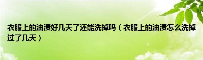 衣服上的油渍好几天了还能洗掉吗（衣服上的油渍怎么洗掉过了几天）