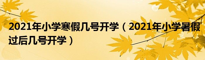 2021年小学寒假几号开学（2021年小学暑假过后几号开学）