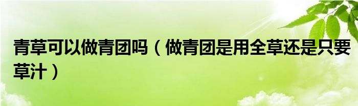 青草可以做青团吗（做青团是用全草还是只要草汁）