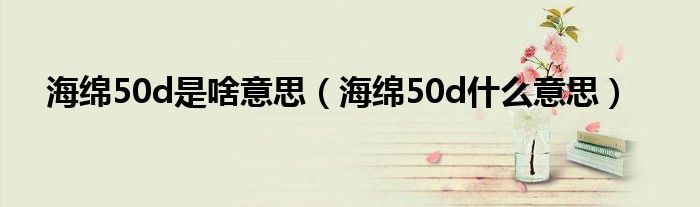 海绵50d是啥意思（海绵50d什么意思）