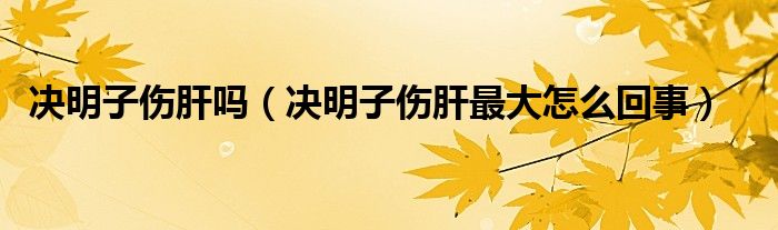 决明子伤肝吗（决明子伤肝最大怎么回事）