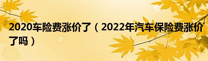 2020车险费涨价了（2022年汽车保险费涨价了吗）