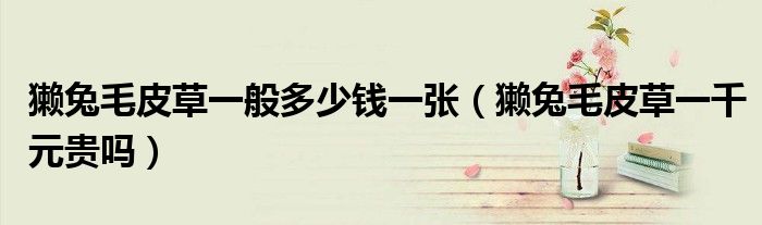 獭兔毛皮草一般多少钱一张（獭兔毛皮草一千元贵吗）