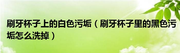 刷牙杯子上的白色污垢（刷牙杯子里的黑色污垢怎么洗掉）