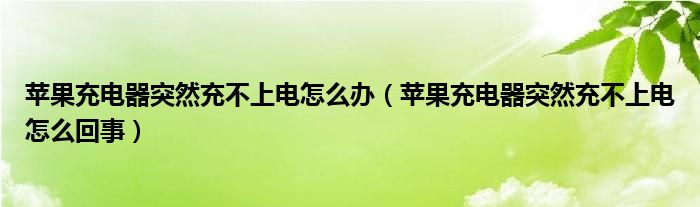 苹果充电器突然充不上电怎么办（苹果充电器突然充不上电怎么回事）