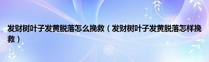 发财树叶子发黄脱落怎么挽救（发财树叶子发黄脱落怎样挽救）