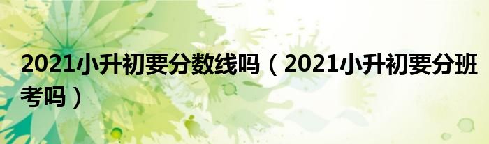 2021小升初要分数线吗（2021小升初要分班考吗）