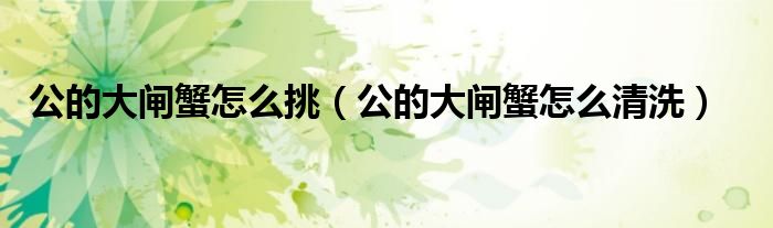 公的大闸蟹怎么挑（公的大闸蟹怎么清洗）