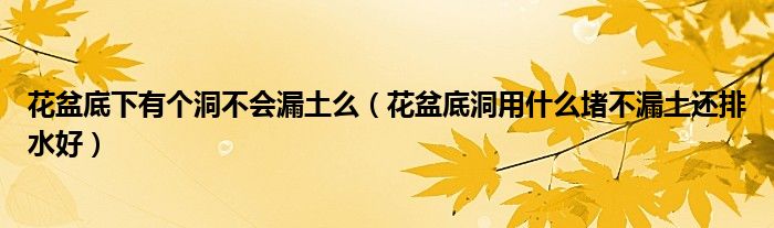 花盆底下有个洞不会漏土么（花盆底洞用什么堵不漏土还排水好）