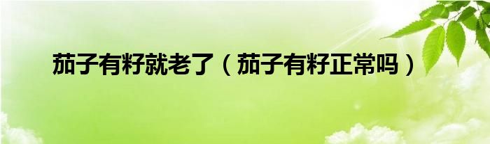 茄子有籽就老了（茄子有籽正常吗）