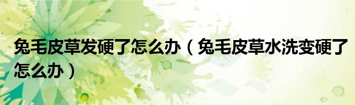 兔毛皮草发硬了怎么办（兔毛皮草水洗变硬了怎么办）