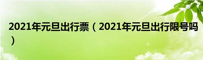 2021年元旦出行票（2021年元旦出行限号吗）