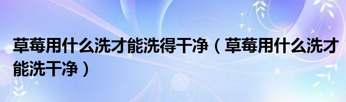 草莓用什么洗才能洗得干净（草莓用什么洗才能洗干净）