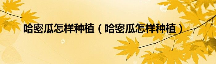 哈密瓜怎样种植（哈密瓜怎样种植）