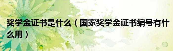 奖学金证书是什么（国家奖学金证书编号有什么用）