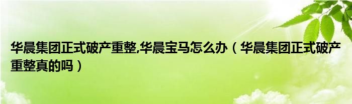 华晨集团正式破产重整,华晨宝马怎么办（华晨集团正式破产重整真的吗）