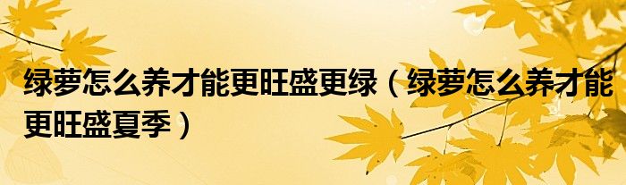 绿萝怎么养才能更旺盛更绿（绿萝怎么养才能更旺盛夏季）