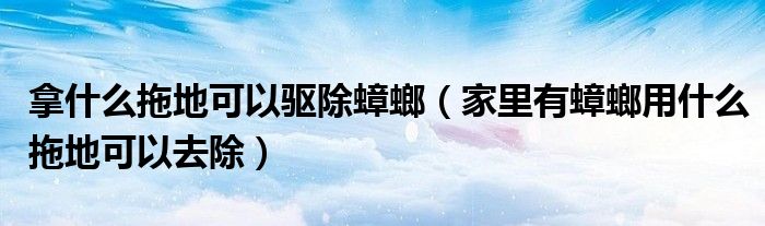 拿什么拖地可以驱除蟑螂（家里有蟑螂用什么拖地可以去除）
