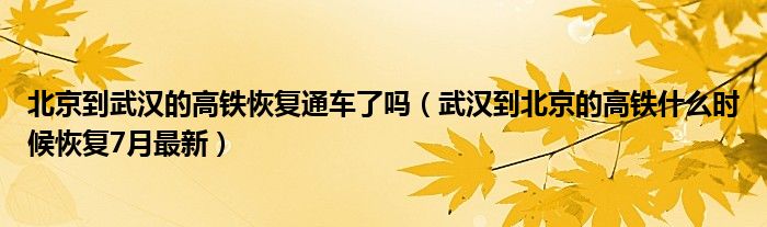 北京到武汉的高铁恢复通车了吗（武汉到北京的高铁什么时候恢复7月最新）