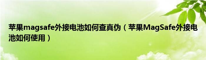 苹果magsafe外接电池如何查真伪（苹果MagSafe外接电池如何使用）
