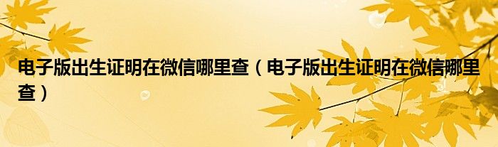 电子版出生证明在微信哪里查（电子版出生证明在微信哪里查）