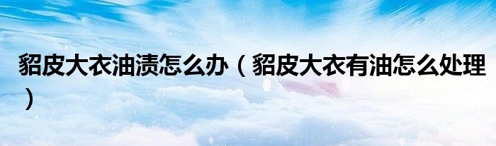 貂皮大衣油渍怎么办（貂皮大衣有油怎么处理）