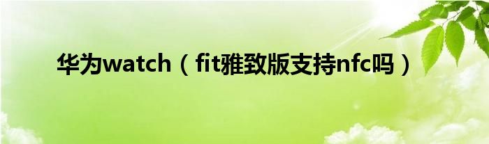 华为watch（fit雅致版支持nfc吗）