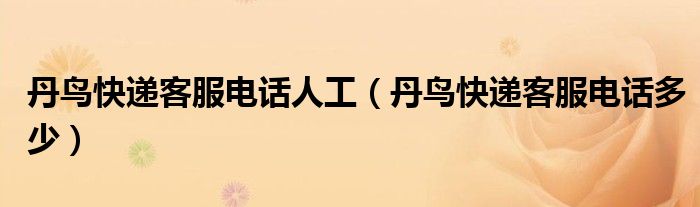 丹鸟快递客服电话人工（丹鸟快递客服电话多少）