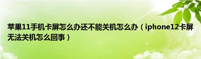 苹果11手机卡屏怎么办还不能关机怎么办（iphone12卡屏无法关机怎么回事）