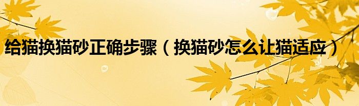 给猫换猫砂正确步骤（换猫砂怎么让猫适应）