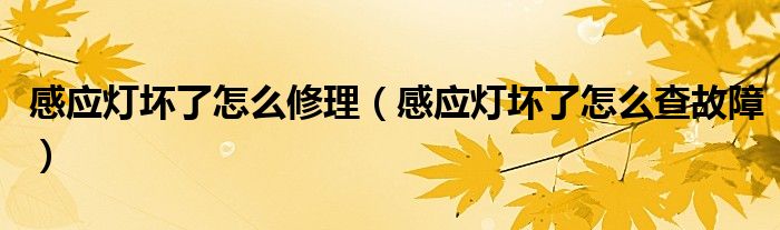 感应灯坏了怎么修理（感应灯坏了怎么查故障）