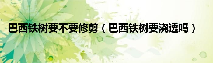 巴西铁树要不要修剪（巴西铁树要浇透吗）