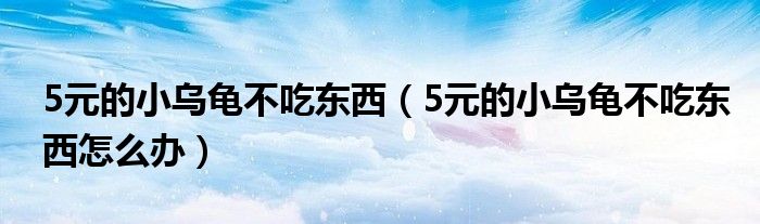 5元的小乌龟不吃东西（5元的小乌龟不吃东西怎么办）