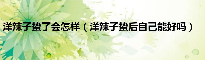 洋辣子蛰了会怎样（洋辣子蛰后自己能好吗）