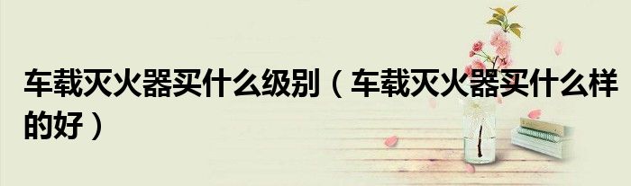 车载灭火器买什么级别（车载灭火器买什么样的好）