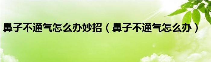 鼻子不通气怎么办妙招（鼻子不通气怎么办）