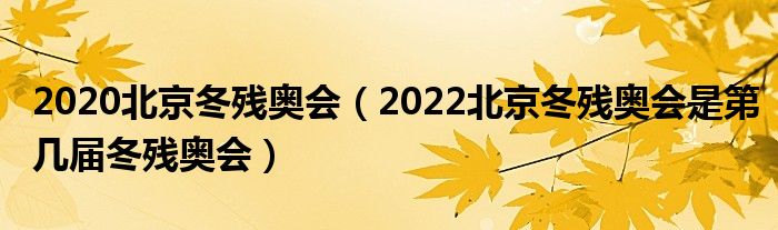 2020北京冬残奥会（2022北京冬残奥会是第几届冬残奥会）